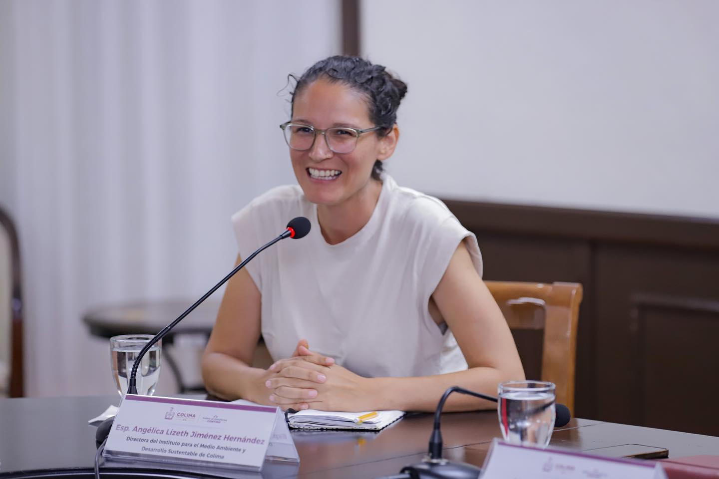 Angélica Jiménez, directora del Instituto para el Medio Ambiente y Desarrollo Sustentable.