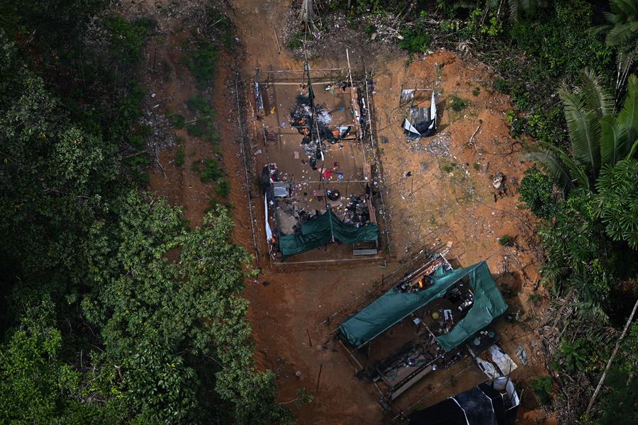 Operación de las autoridades brasileñas contra el avance de la deforestación y la minería ilegal en una de las zonas más conflictivas de la Amazonía, en la Floresta Ambiental Itaituba II (Brasil). EFE/ André Borges