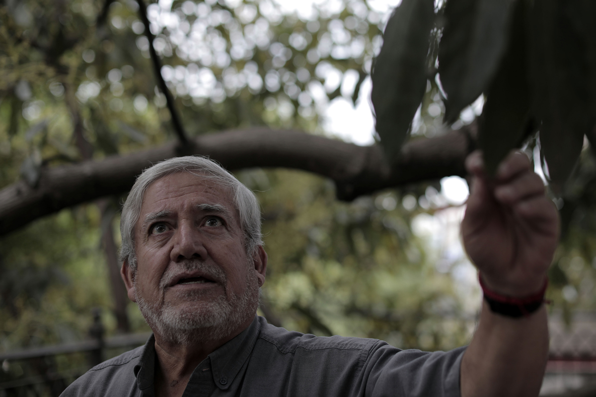 El ingeniero agrónomo Nacho Simón, habla durante una entrevista con EFE en el municipio de Uruapan, Michoacán. EFE/Iván Villanueva