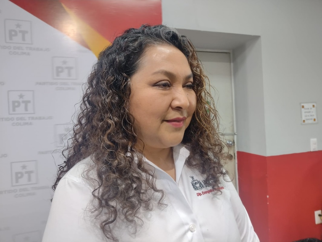 Fotografía de la diputada local del Partido del Trabajo (PT), Evangelina Bustamante Morales.