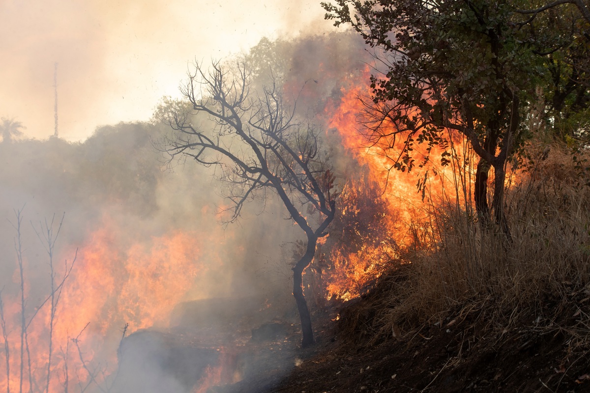 Fotografía de archivo que muestra un incendio en el Cerrado de Brasilia (Brasil).EFE/ Joédson Alves