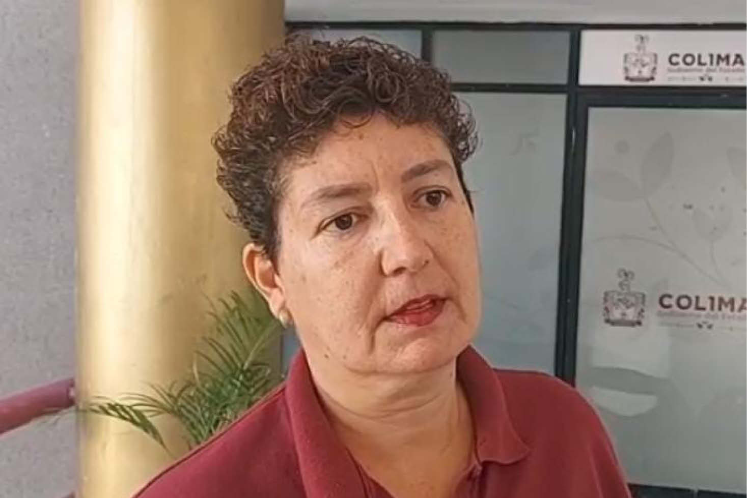 Patricia Tejeda, directora de la Oficina de Atención al Migrante en Colima.