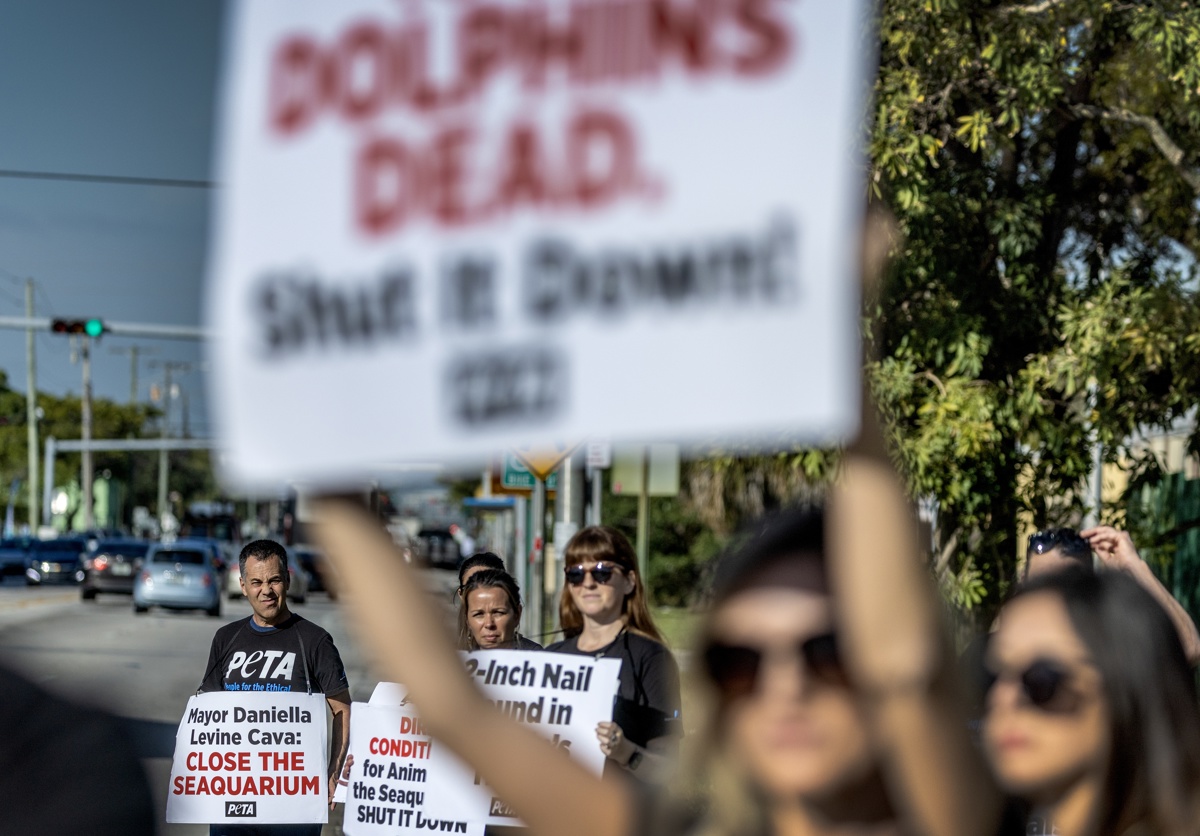 Activistas de Personas por el Trato Ético de los Animales (PETA) asisten a una manifestación para exigir el cierre del Miami Seaquarium. Foto de archivo. EFE/EPA/CRISTOBAL HERRERA-ULASHKEVICH