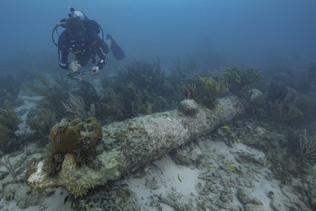 Fotografía cedida por el Servicio de Parques Nacionales (NPS) estadounidense donde aparece uno de sus buzos mientras documenta uno de los 5 cañones con incrustaciones de coral encontrados durante un reciente estudio arqueológico en el Parque Nacional Dry Tortugas en los Cayos de la Florida (EUA). EFE/Brett Seymour/NPS