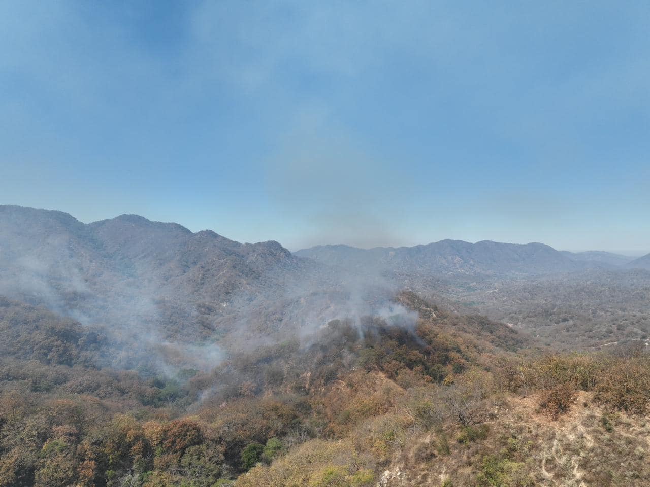 En Colima fueron afectadas un total de 1,074 hectáreas por los incendios forestales. Tomada de la cuenta de Facebook: Peña Colorada.