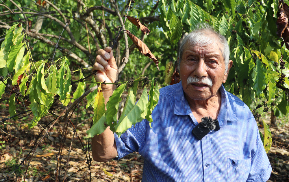 Venancio Morales Velázquez, del cantón el Chaparrón, habla durante una entrevista con EFE, en el municipio de Tapachula en Chiapas (México). EFE/Juan Manuel Blanco