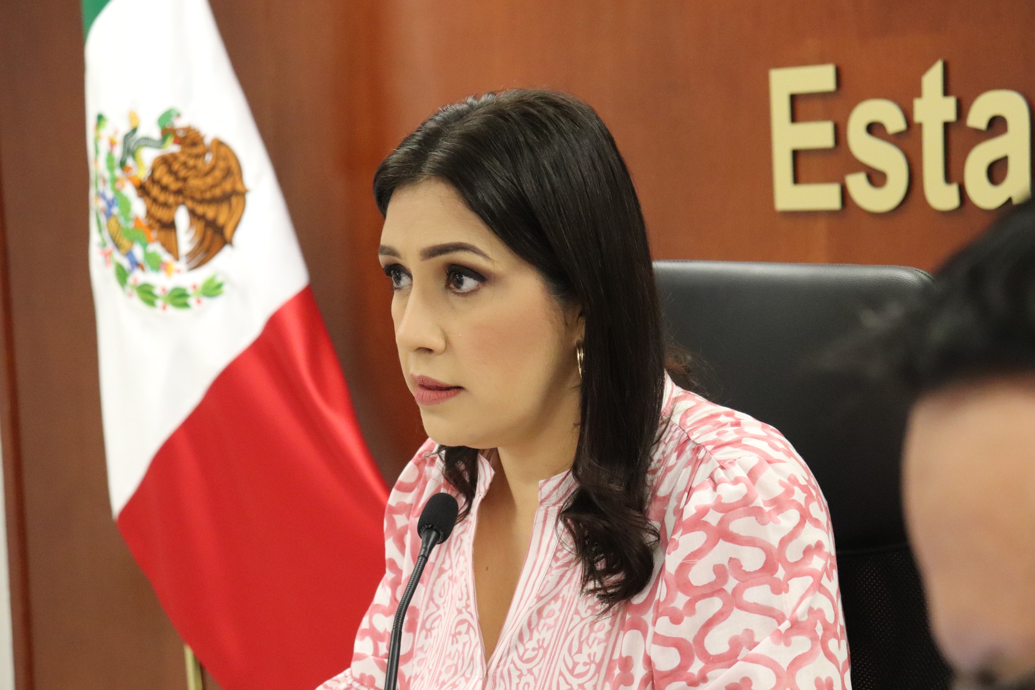 Ana Margarita Torres Arreola, Vocal Ejecutiva de la Junta Local del Instituto Nacional Electoral.