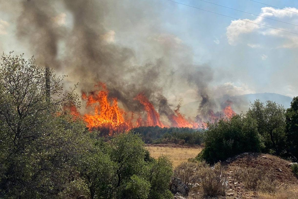 El fuego quema olivos en un área montañosa de Argos, Micenas, Peloponeso, Grecia. EFE/EPA/VAGELIS BOUGIOTIS