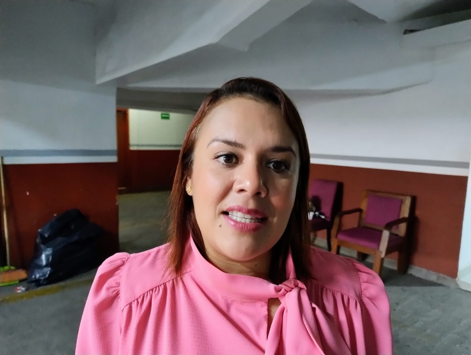 La diputada local de Morena, Priscila García Delgado.