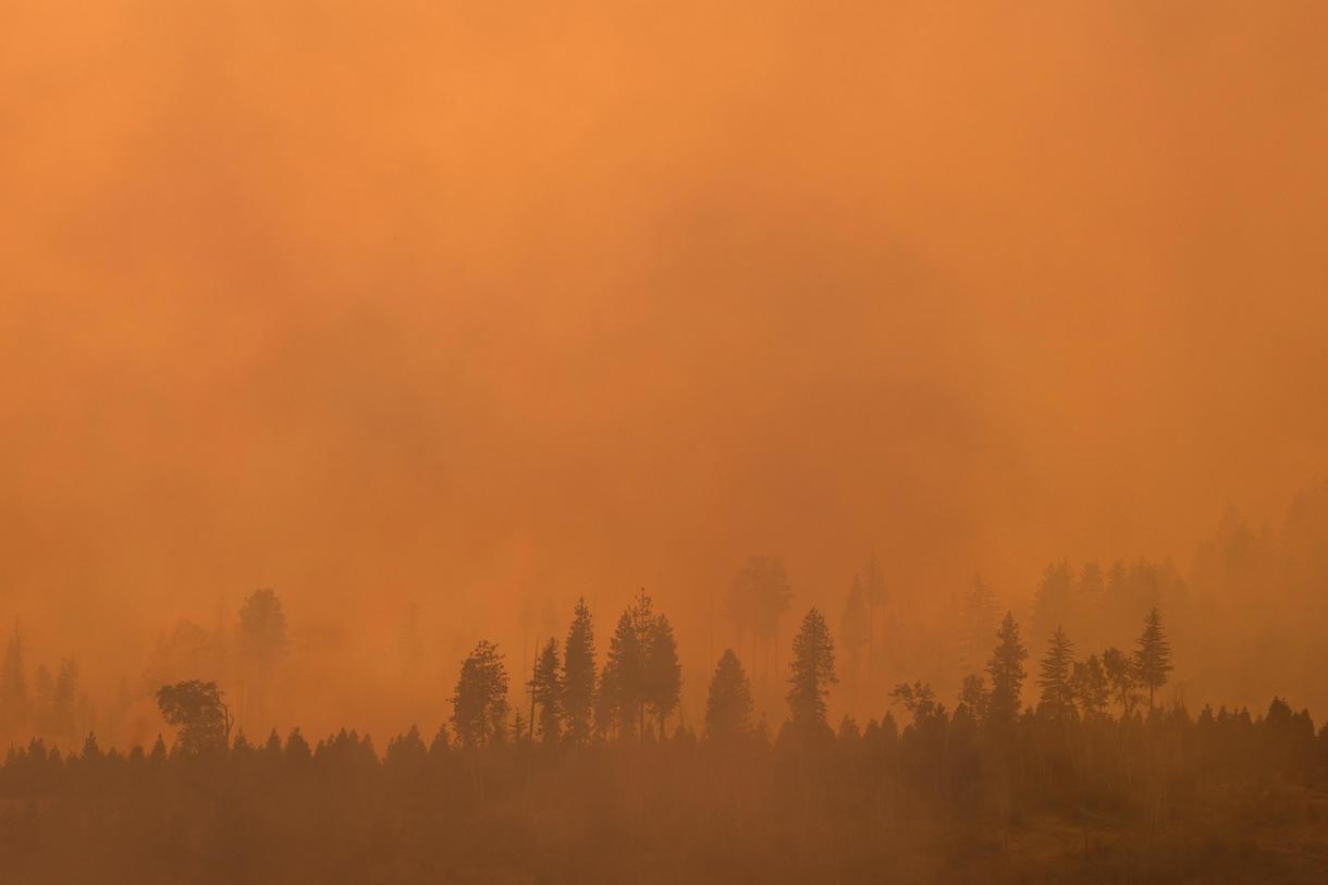 Los árboles arden en el incendio en un parque que ha quemado más de 353,194 acres según el Departamento de Silvicultura y Protección contra Incendios de California (Cal Fire), en el condado de Tehama, California, EUA. (Fotografía de John G. Mabanglo de la agencia EFE)