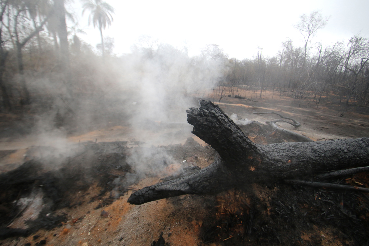 Fotografía de archivo que muestra una zona afectada por incendios forestales en Bolivia. (Foto de Juan Carlos Torrejón de la agencia EFE)