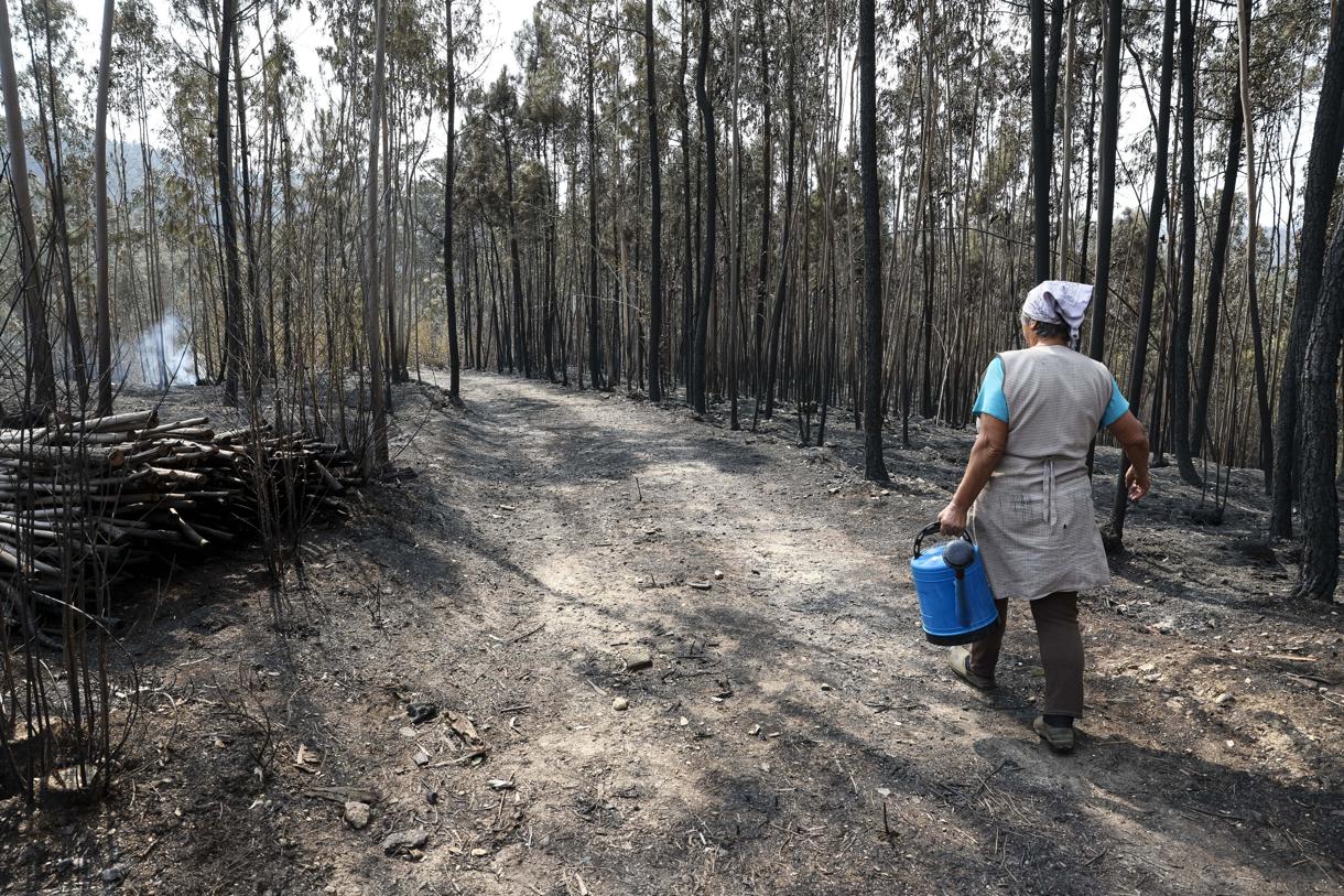 Oliveira De Azemeis (Portugal). (Foto de Paulo Novais de la agencia EFE/EPA)