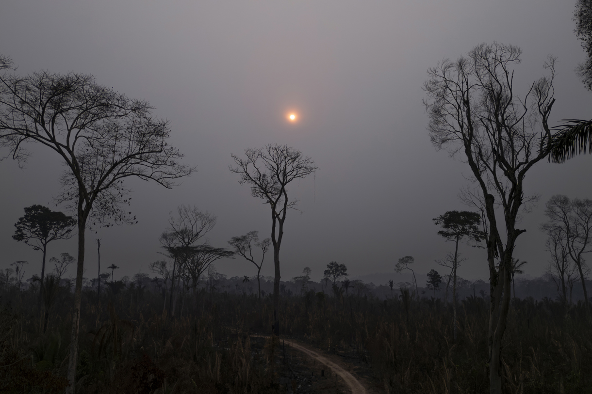 Fotografía de archivo que muestra la afectación por incendios en Brasil. (Foto de Isaac Fontana de la agencia EFE)