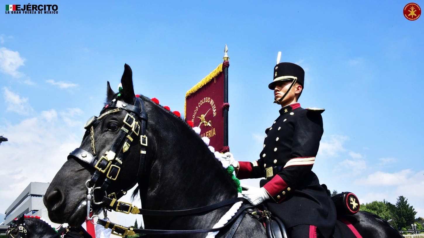 (Foto tomada de las redes sociales del Ejército Mexicano)