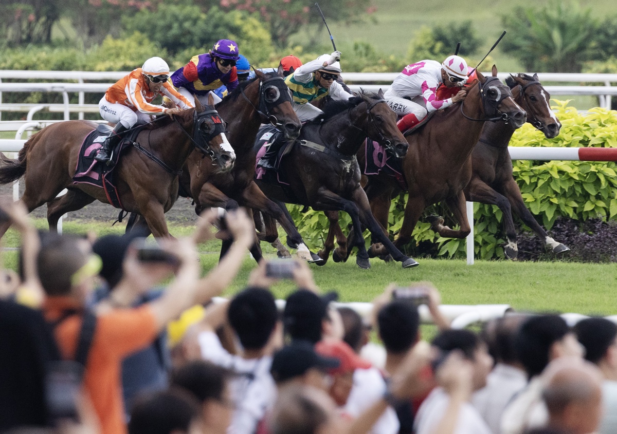 Jinetes y sus caballos compiten este sábado en una carrera en el club hípico Singapur Turf, en el último evento hípico que acogerá Singapur tras 182 años de historia. (Foto de How Hwee Young de la agencia EFE/EPA)