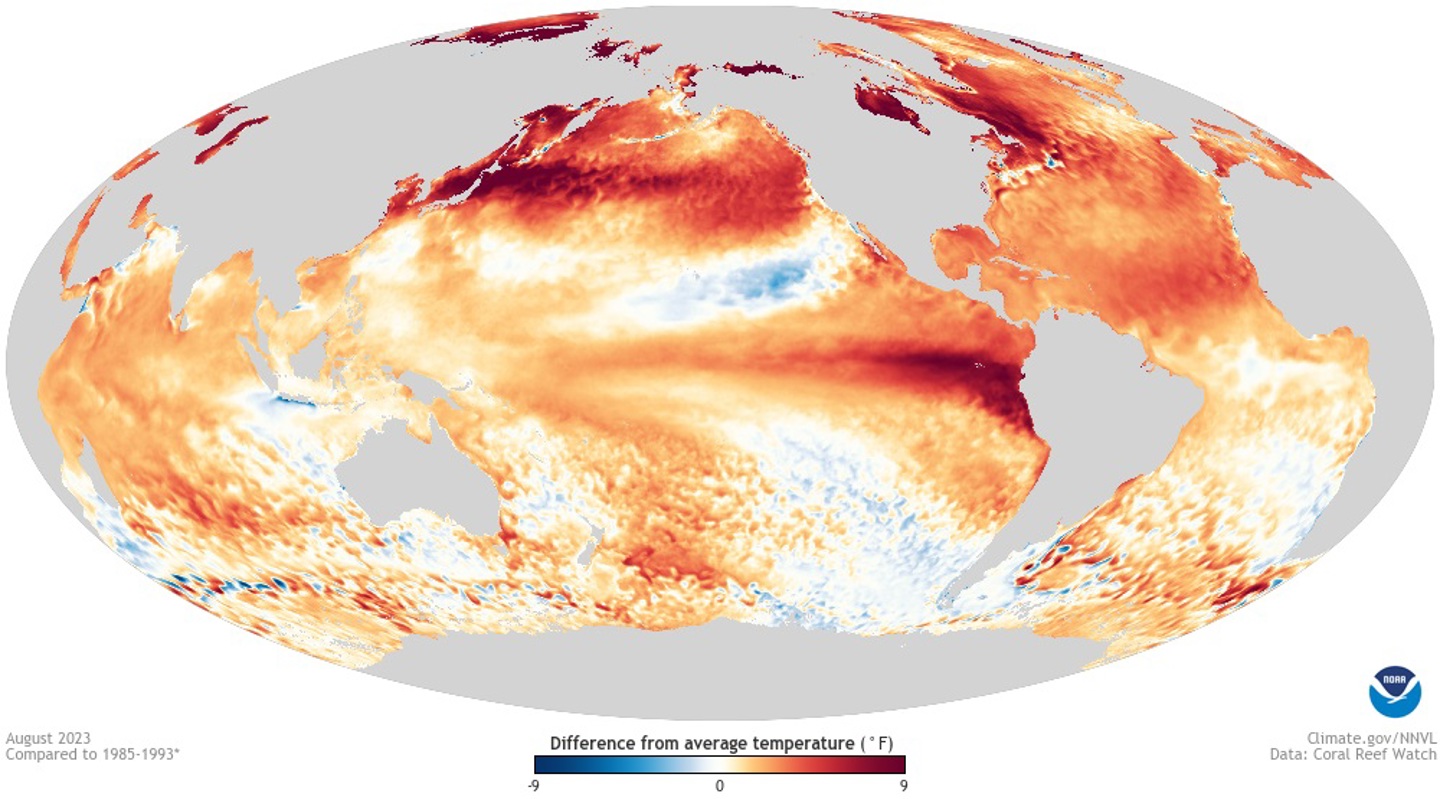 Un nuevo estudio de modelización muestra que el fenómeno de “El Niño” ha estado presente hace al menos 250 millones de años y a menudo ha sido de mayor magnitud que las oscilaciones que vemos hoy. Imagen: El Niño en agosto de 2023. (Foto de la NOAA, mapa facilitado por la Universidad de Duke).