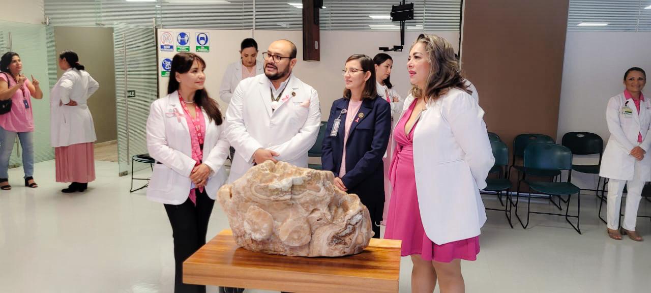 Foto de la exposición "Las mamas del alma" proporcionada por el IMSS.