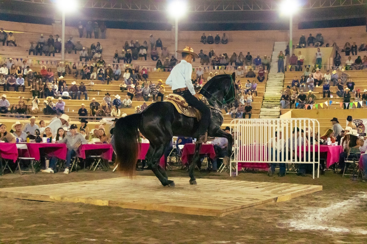 (Foto Boletín de Prensa)