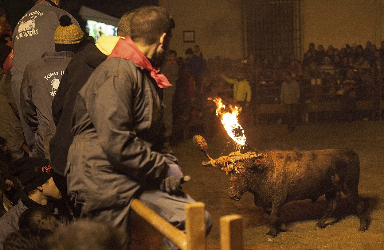 Foto archivo. El Toro Jubilo. (Foto de Wifredo García de la agencia EFE)