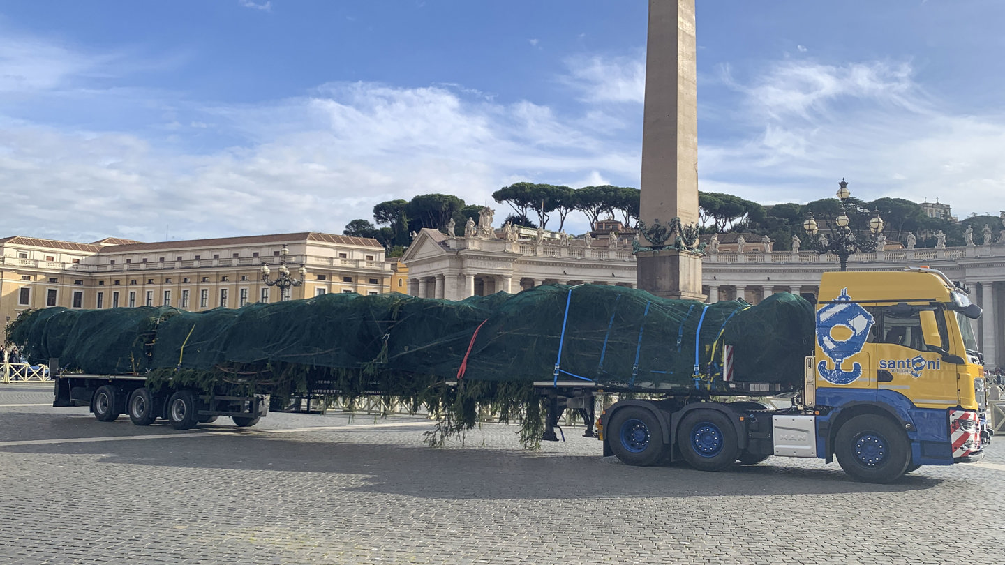 El abeto gigante que adornará el Vaticano y cuya tala en Ledro (norte) causó indignación en Italia llegó este jueves a la Plaza de San Pedro, donde será iluminado el próximo 7 de diciembre, cuando se inaugure también el tradicional pesebre navideño. (Foto de la agencia EFE TV)