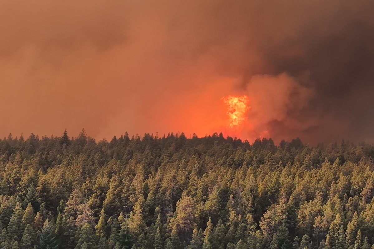 Fotografía tomada el pasado 3 de febrero en la que se registró una vista general de los incendios forestales en El Bolsón, provincia patagónica argentina de Río Negro. (Foto de Gonzalo Keogan de la agencia EFE)