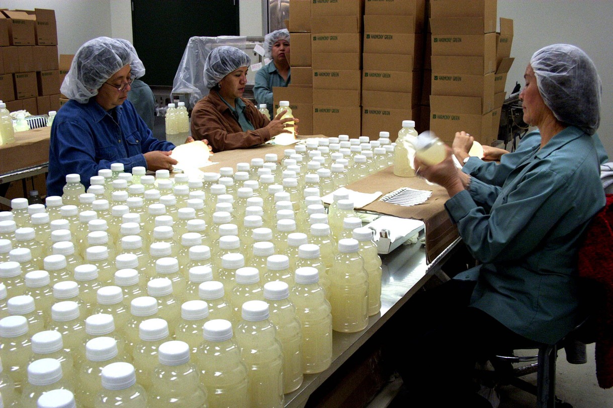 Fotografía de archivo de mujeres trabajando en Texas. (Foto de Eduardo Santana de la agencia EFE)