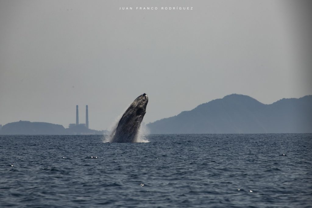 (Foto de Juan Franco Rodríguez)