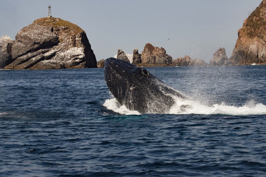 (Foto de Juan Franco Rodríguez)