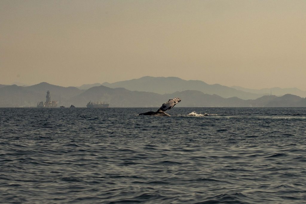 (Foto de Juan Franco Rodríguez)