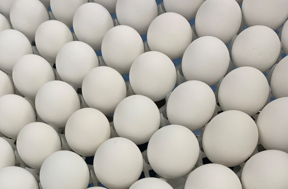Los precios de los huevos de gallina han experimentado un fuerte aumento en los últimos meses en Estados Unidos, tras el brote de gripe aviar que afecta al sector desde hace un año y que ha obligado a sacrificar elevados números de aves. (Foto de Alba Santandreau de la agencia EFE)