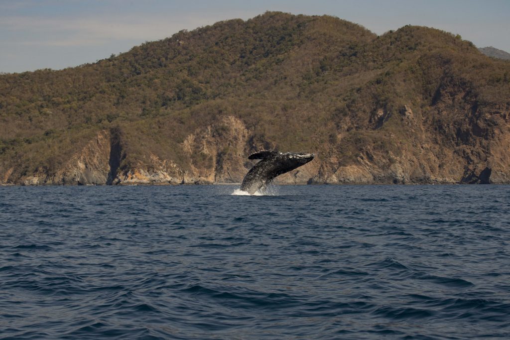 (Foto de Juan Franco Rodríguez)