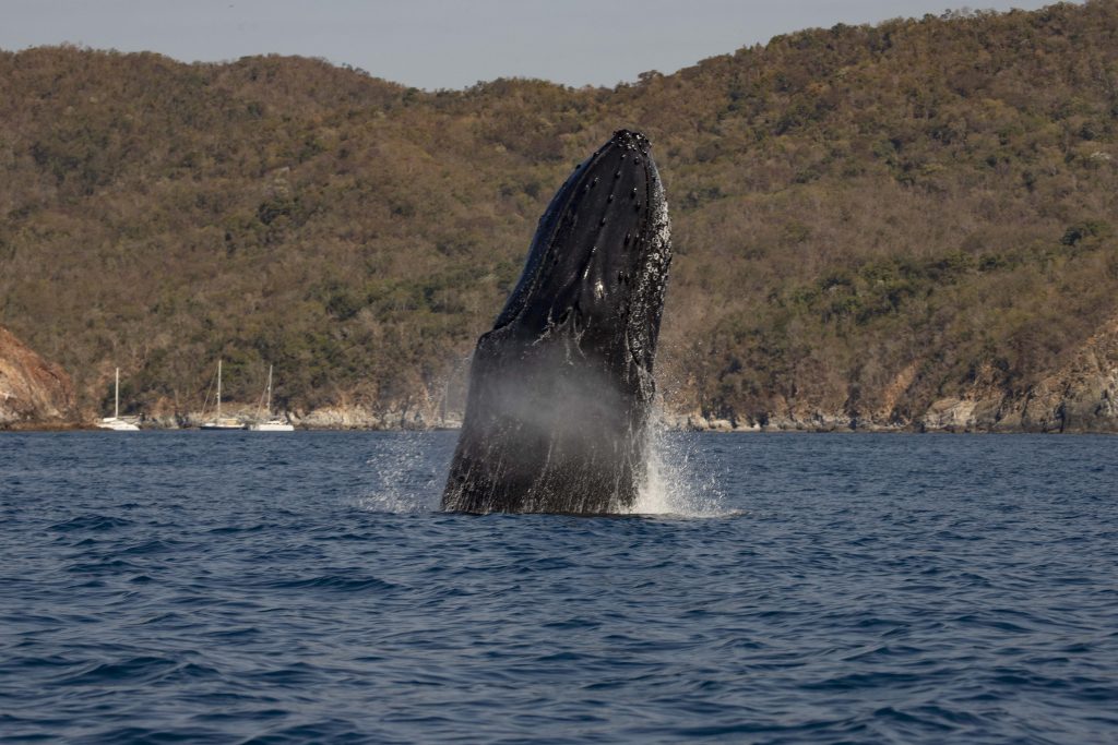 (Foto de Juan Franco Rodríguez)