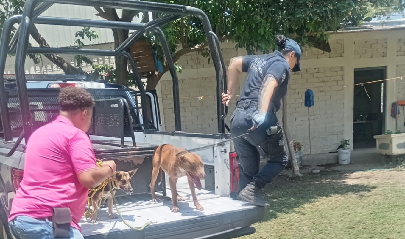 (Foto Boletín de Prensa)