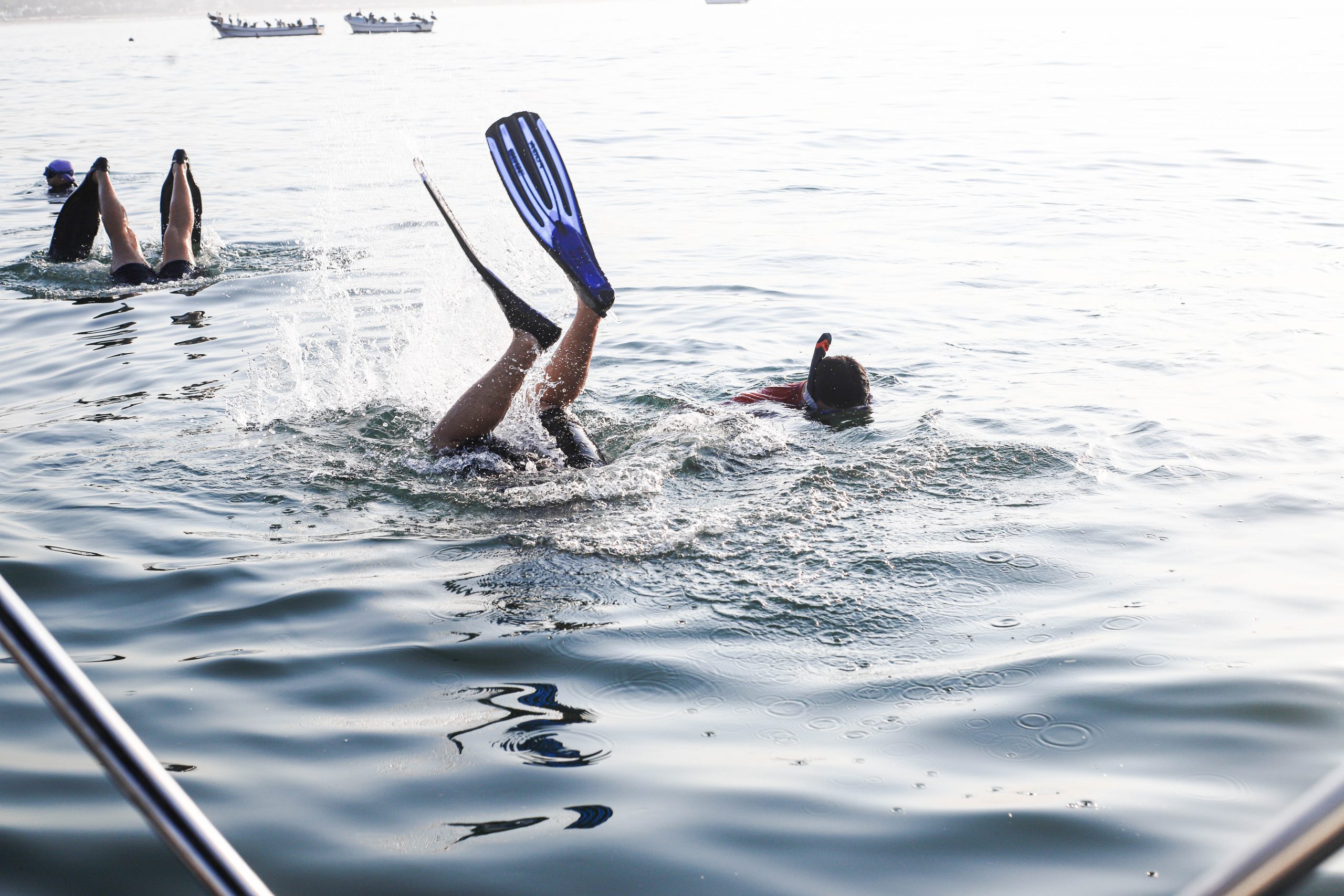 Foto de la Dirección General de Prensa de la UdeC.