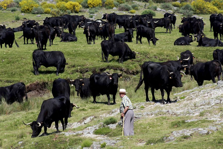 Foto de archivo de EFE.