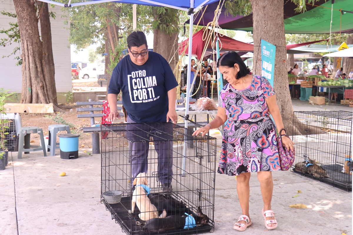 (Foto de Boletín de Prensa)