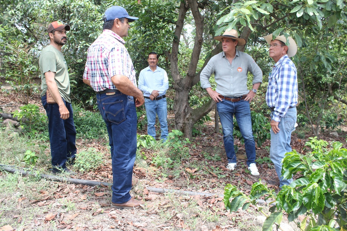 (Foto de redes sociales de Desarrollo Rural del Estado de Colima)