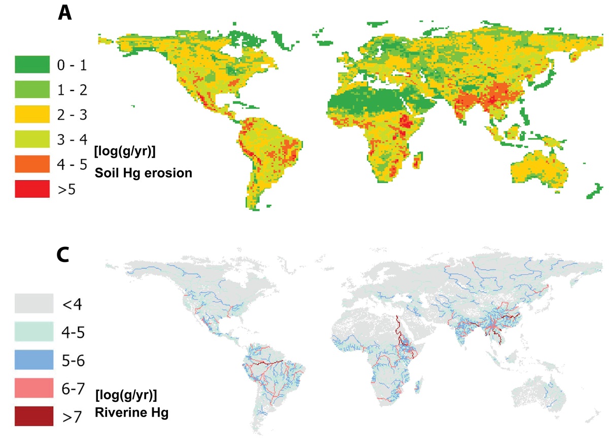 Balance global de mercurio fluvial en la era preindustrial. (A) Flujo de erosión del suelo desde la tierra hacia la escorrentía. (B) Distribución media de la latitud del flujo de mercurio fluvial. Lat, latitud. (C) Flujos de mercurio en los ríos. (D) Flujo de exportación de mercurio al océano costero. (E) Concentración de mercurio en las partículas en suspensión (SPM) en las desembocaduras de los ríos. ( Crédito: Peng et al., Science Advances)