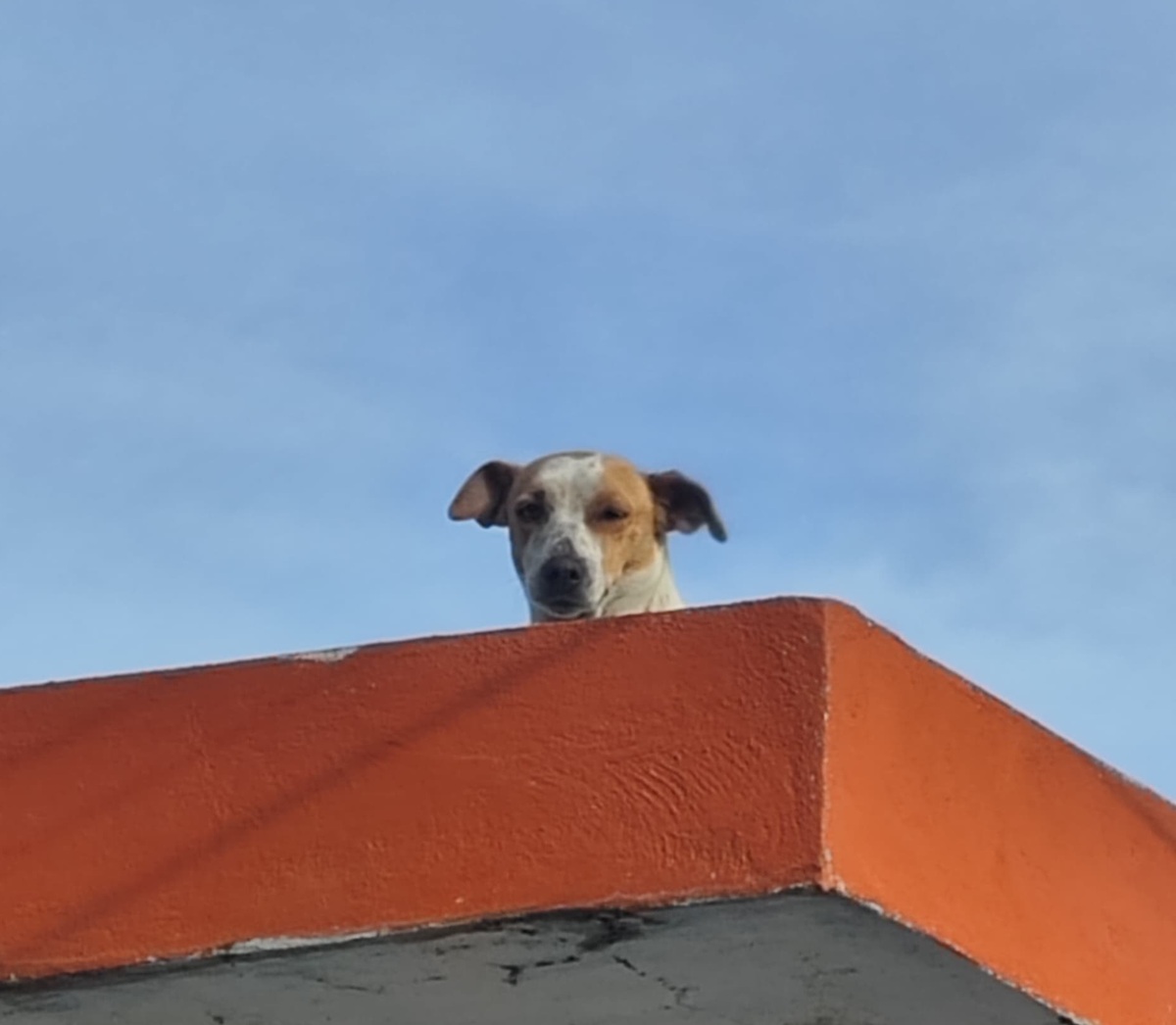 (Foto de Hernán Reyes Pineda)