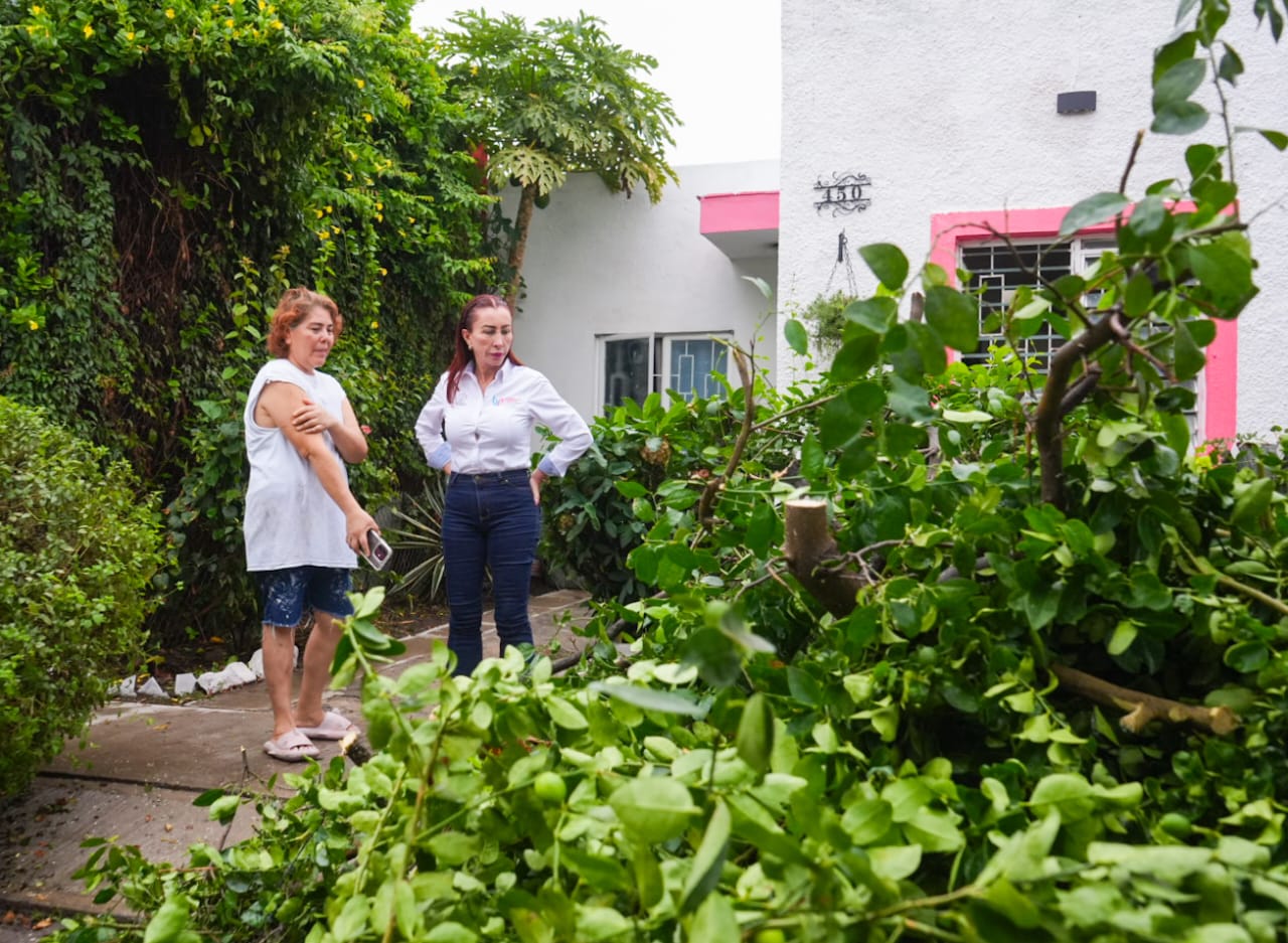 Foto proporcionada por el Ayuntamiento de Villa de Álvarez.