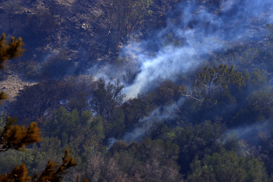 Foto proporcionada por EFE del incendio en las afueras de Atenas, Grecia.