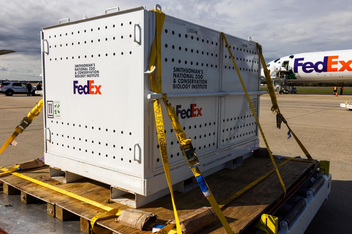 En la imagen se ve un contenedor de una empresa de mensajería. (Foto de Jim Lo Scalzo de la agencia EFE)