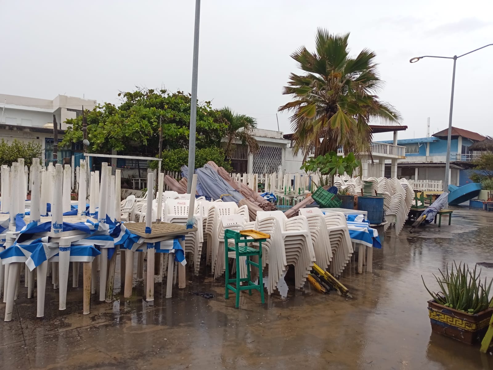 Foto de Yensuni López.