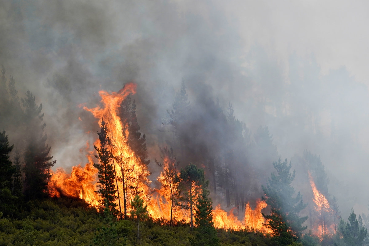 Vista del incendio de San Antolín de Ibias, Asturias, España. (Foto de Paco Paredes de la agencia EFE)