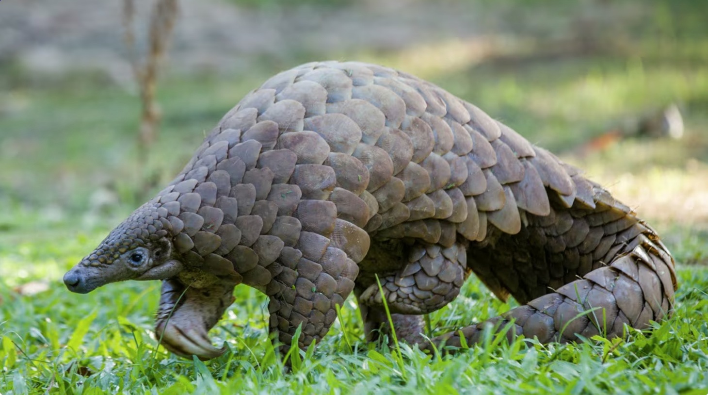 (Foto de redes sociales)