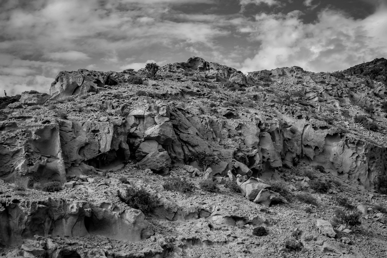 La exposición estará abierta hasta finales de noviembre. (Foto de la Dirección General de Prensa de la UdeC)