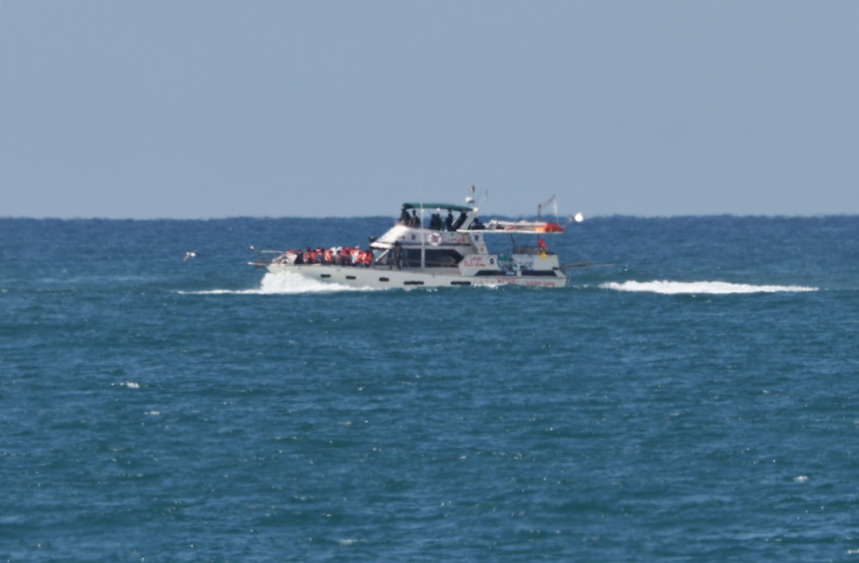 Un buque de la Flotilla Global Sumud llegando al puerto de Ashdod el 02 de octubre de 2025 después de ser interceptado mientras transportaba ayuda a Gaza. (Foto de Atef Safadi de la agencia EFE/EPA)