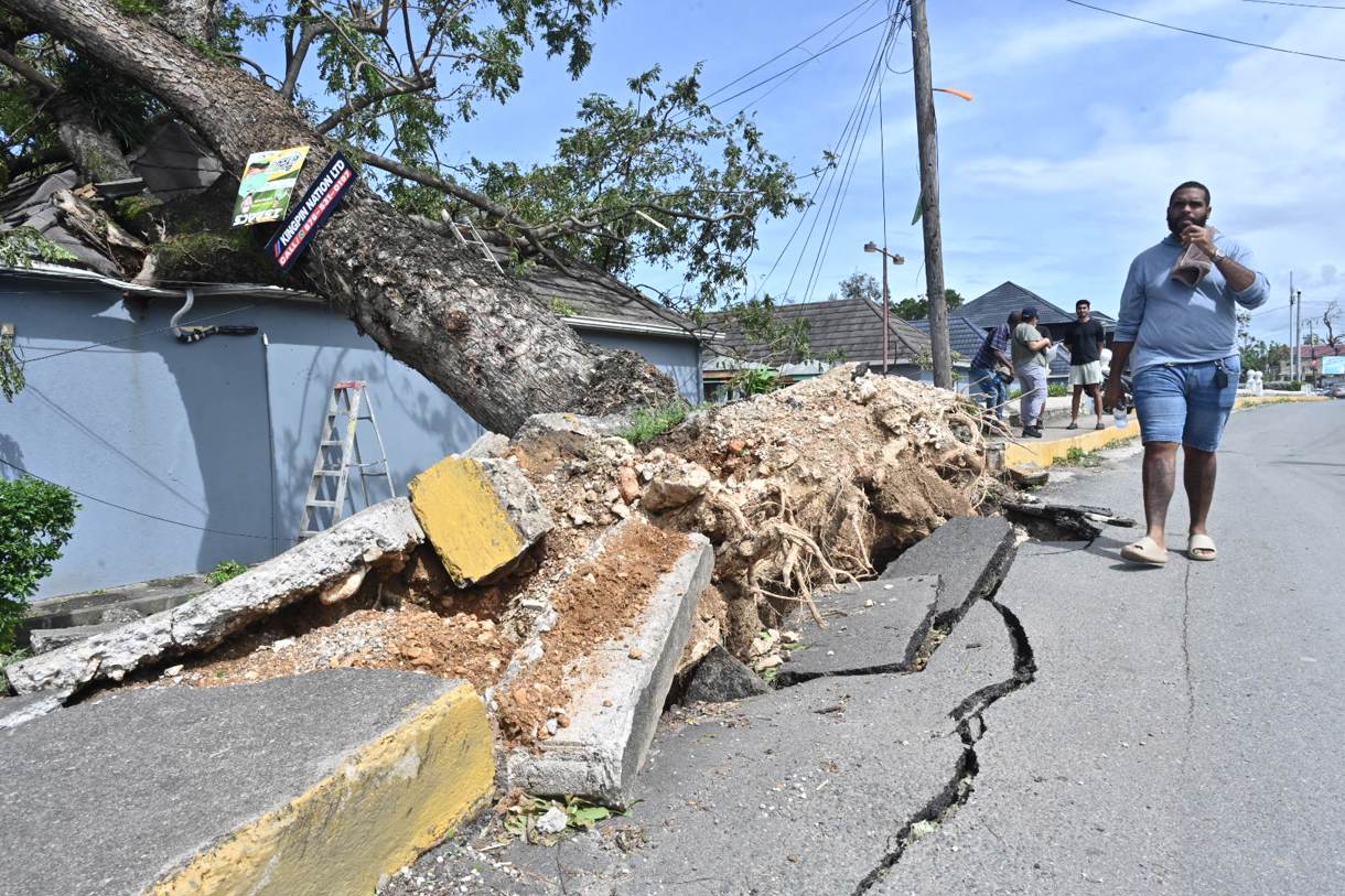 Una persona camina frente a un árbol caído debido al paso del huracán Melissa este miércoles, en la Parroquia de Saint Ann en el condado de Middlesex (Jamaica). (Foto de Rudolph Brown de la agencia EFE)