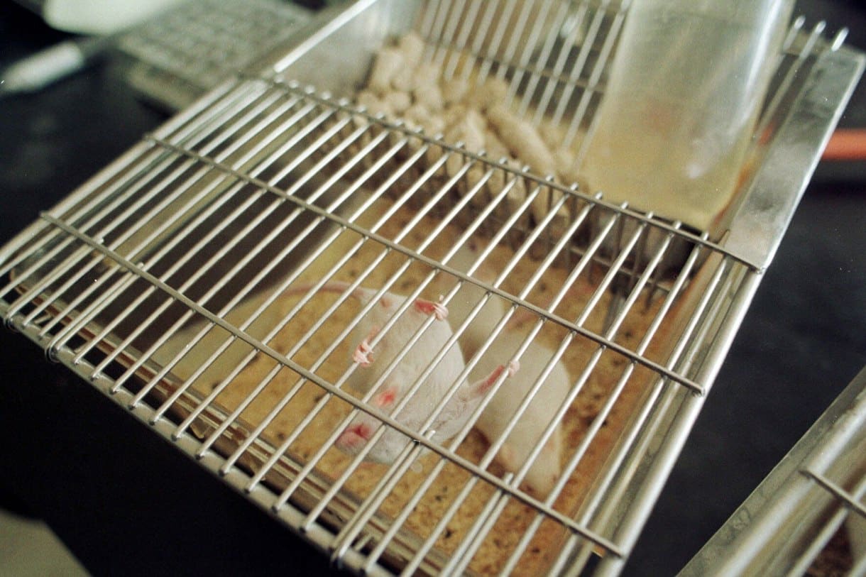 (Foto de archivo de José Pedrosa de la agencia EFE)