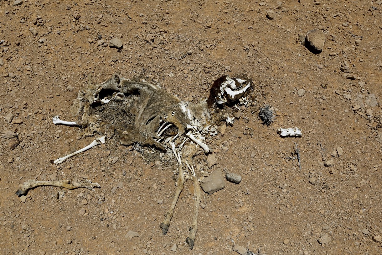 (Foto de archivo de Dai Kurokawa de la agencia EFE/EPA)